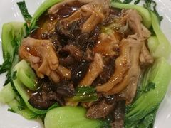 -美泉宫饭店美泉盛宴海鲜
