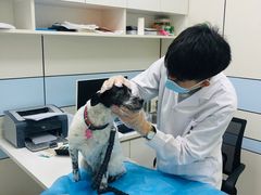 -中农国际动物医院24小时·猫科·骨科·急重症中心