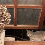 昆明这家ins风小众咖啡馆韩系慵懒氛围感拉满