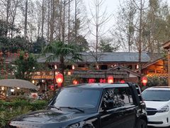 -青城甲(青城山店)