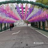 游乐园历险记[吐]坐完沙漠飞车勇气全无😭🙏