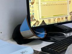 -特一安24小时宠物医院·骨科·中兽医