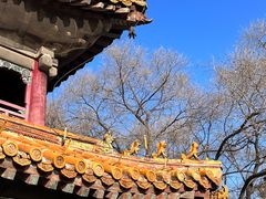 -北陵公园