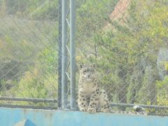 -青藏高原野生动物园