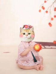 点击看大图 -童影世家儿童摄影(梨园店)