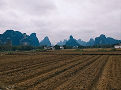 -明仕田园