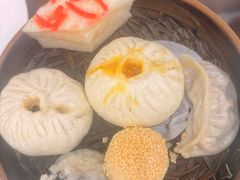 -富春茶社(国庆路店)