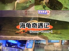 -萌宠奇缘(荣鼎店)