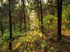 -北京西山国家森林公园