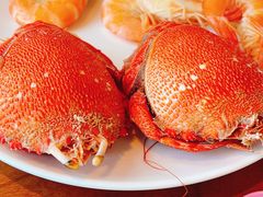 -嘉定凯悦·咖啡厅