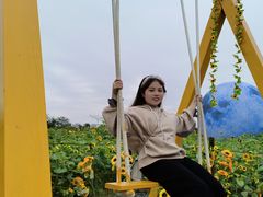 -祥源·阜阳生态乐园