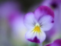 -寻龙山风景旅游区