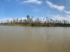 -漩门湾国家湿地公园