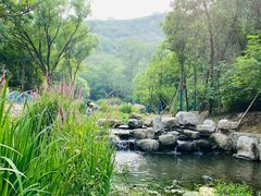 -白水寺森林公园