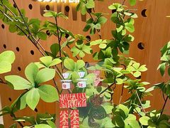 -代数学家algebraist(东吴龙湖天街店)