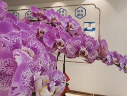 -丽美妍医疗美容·皮秒·立体分层抗衰