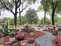 -上海鲜花港