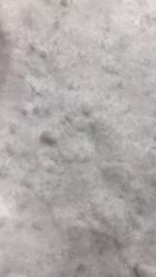 -Mr·Kuma酷么先生雪之乐园