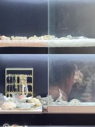 点击看大图 -鼎极摄影(世纪金源店)