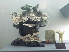 iphone_upload_pic-甘肃地质博物馆