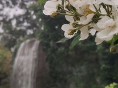 -天津盘山风景名胜区