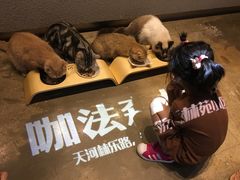 -咖法森林·咖啡  酒吧(天河店)