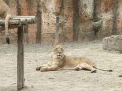 -北京野生动物园