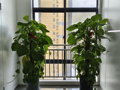 -万达茂商场(南京仙林店)