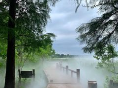 -东湖落雁景区