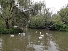 -洛阳市隋唐城遗址植物园