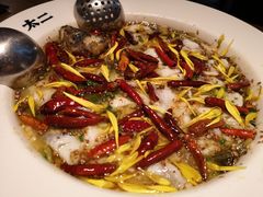 老坛子酸菜鱼-太二酸菜鱼(正大广场店)