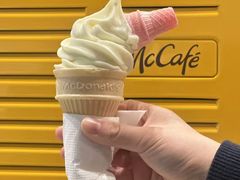-麦当劳(郑州正弘城店)