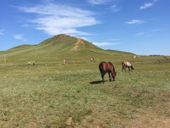 -塞罕坝国家级自然保护区