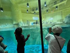 -威海华夏城景区