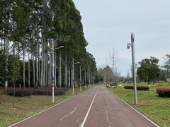 -白鹭湾湿地公园