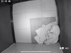 -趣玩宠物乐园寄养训犬训狗游泳池