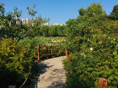 -燕郊植物园