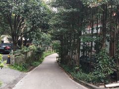 -缙云山景区