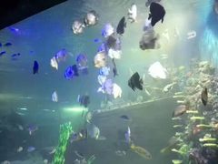 -嘉兴海底世界