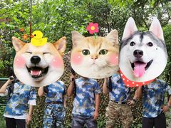 -勇士之星真人CS·团建·拓展(清水河公园店)