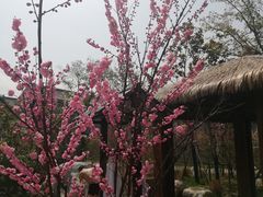 -太白山御龙湾温泉