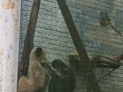 -北京动物园