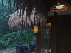 -中国茶叶博物馆(双峰馆区)