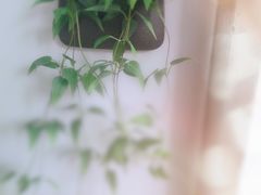 -外婆船宴餐厅·外婆喊你回家吃饭