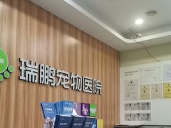 -瑞鹏宠物医院·骨科·猫科·内科(第一中心)