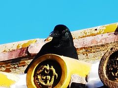 -北京市劳动人民文化宫(太庙)