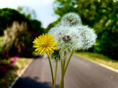 -梁鸿国家湿地公园