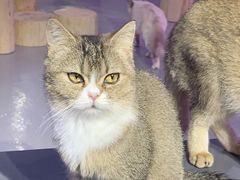 -极木²邸 人与宠物·互动社区