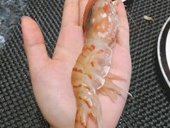 -菊上料理(蜀山银泰百货店)