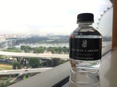 -新加坡丽思卡尔顿美年酒店